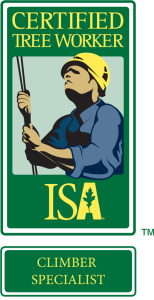 Certified Tree Worker