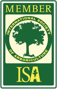 Badge ISA Member