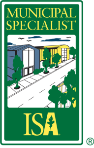 Municipal Specialist