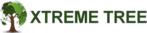 Xtreme Tree Logo