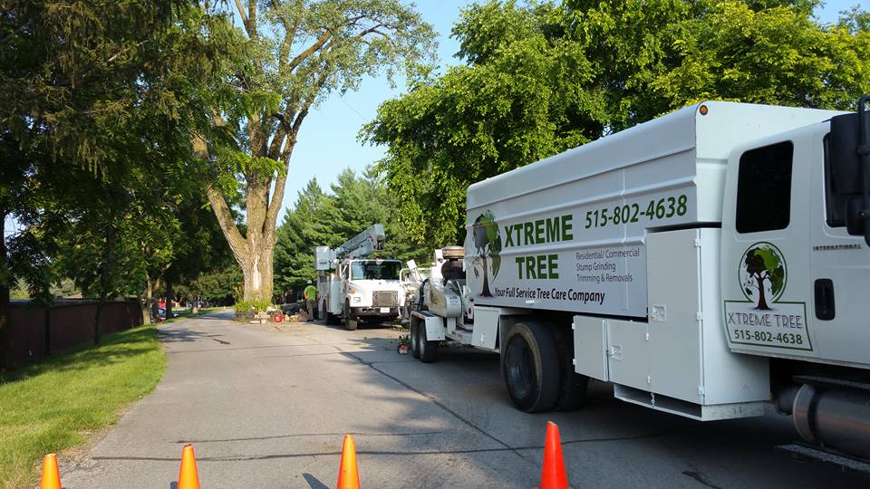 Tree Care Company