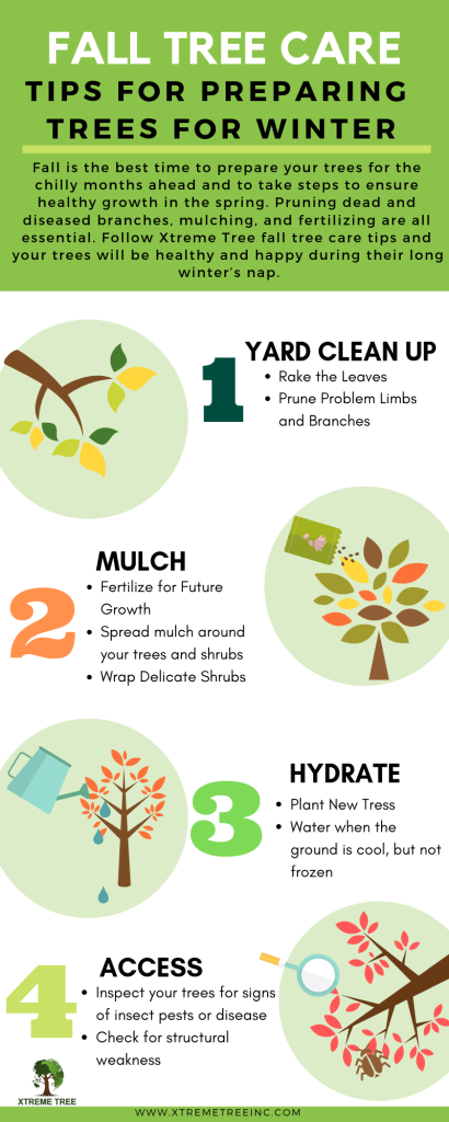 Fall Tree Care