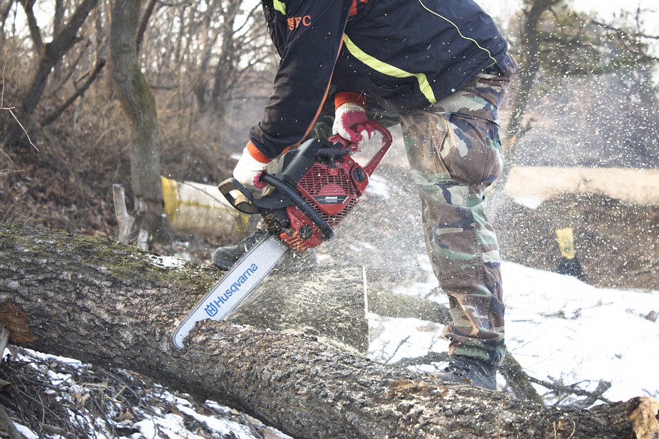 Tree Trimming
