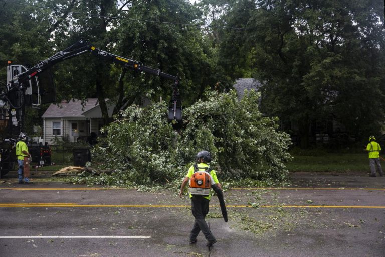 Emergency Tree Service Des Moines
